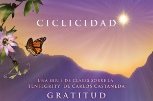 gratitud